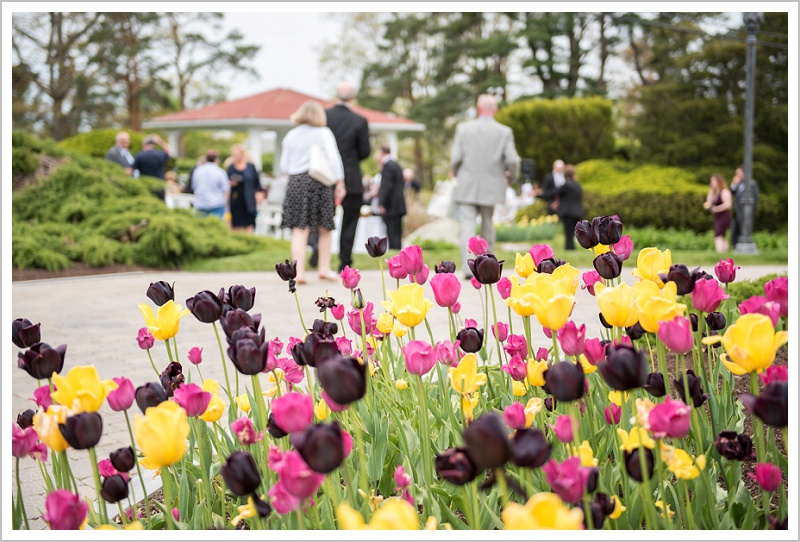 Tulips at the ceremony | Wentworth by the Sea wedding New Hampshire LAD Photography