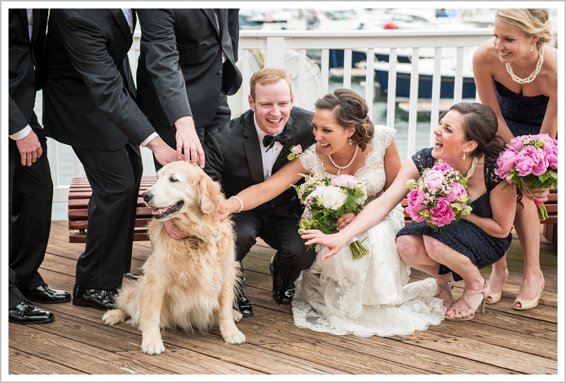 Bride and groom petting dog with wedding party | Wentworth by the Sea wedding New Hampshire LAD Photography