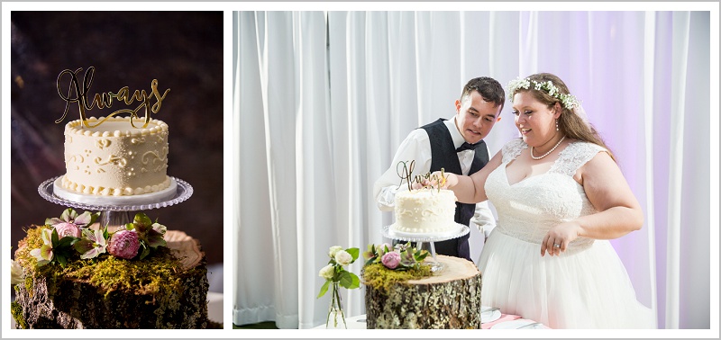 Cake and cutting - Jason and Angela's Hardy Farm Wedding in Fryeburg Maine