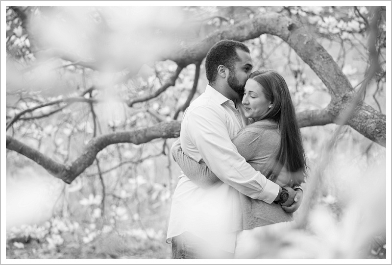 Josh and Leila's Arnold Arboretum Engagement | LAD Photography