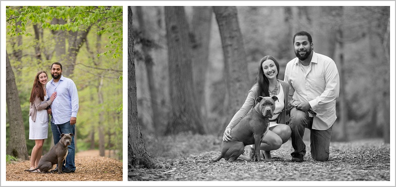 Josh and Leila's Arnold Arboretum Engagement | LAD Photography