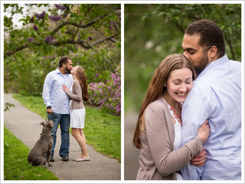 Josh and Leila's Arnold Arboretum Engagement | LAD Photography