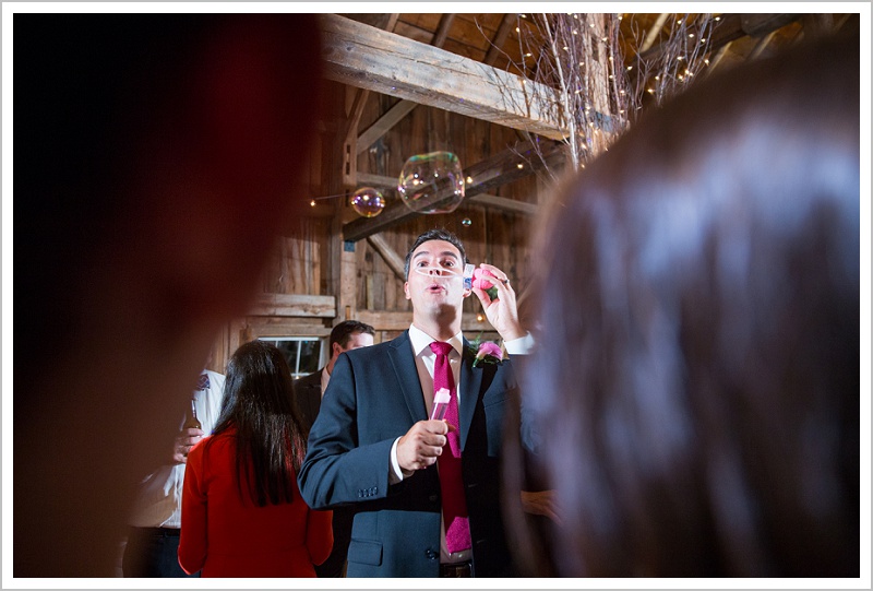 Guest blowing bubbles - Adam & Ali's Wedding at The Barn at Walnut Hill | LAD Photography