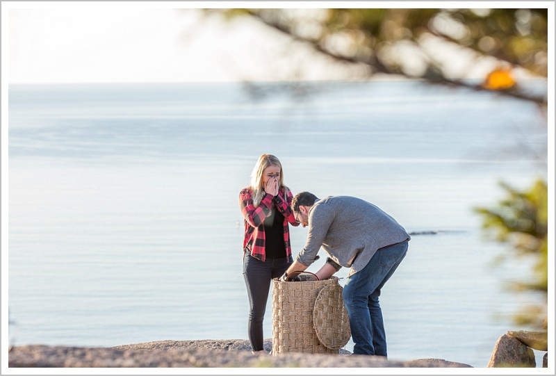 James and Angel Proposal (2)