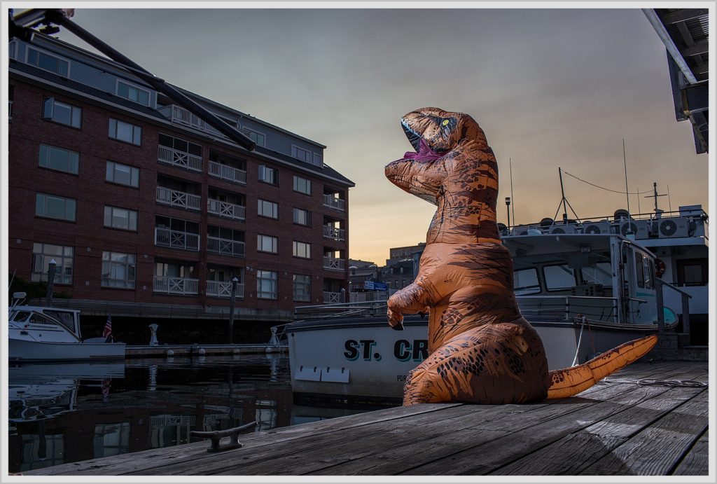 T-Rex in Portland Maine on dock