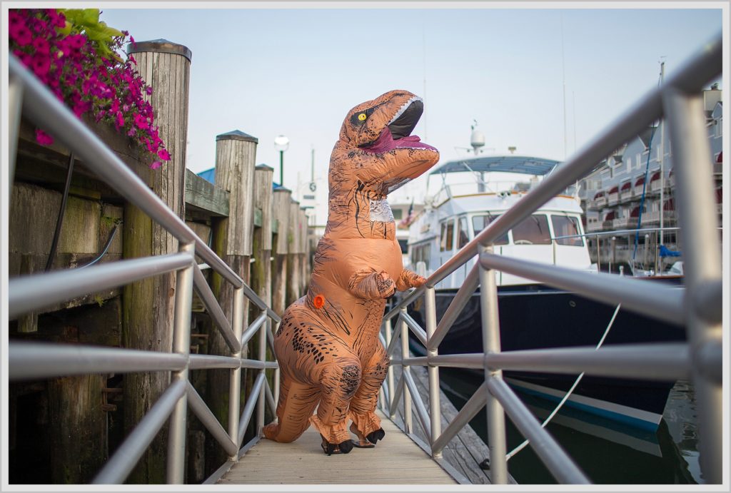 T-Rex in Portland Maine