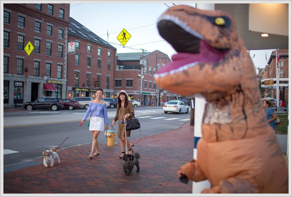 T-Rex in Portland Maine