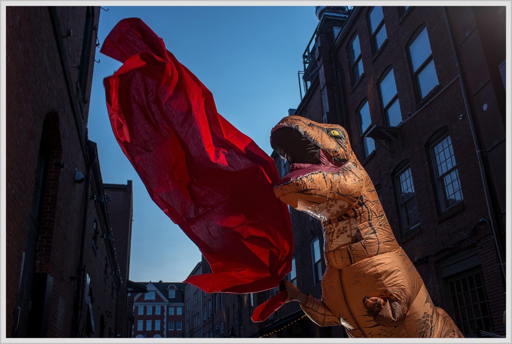 T-Rex in Portland Maine with flowing fabric