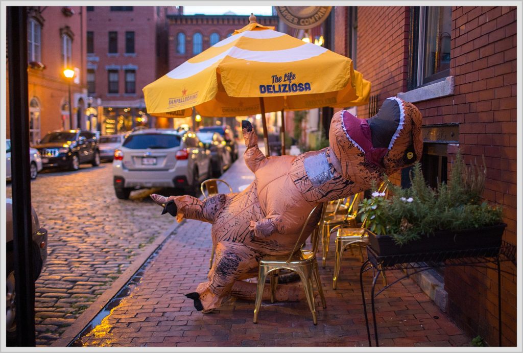 T-Rex in Portland Maine