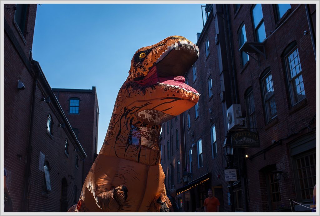 T-Rex in Portland Maine