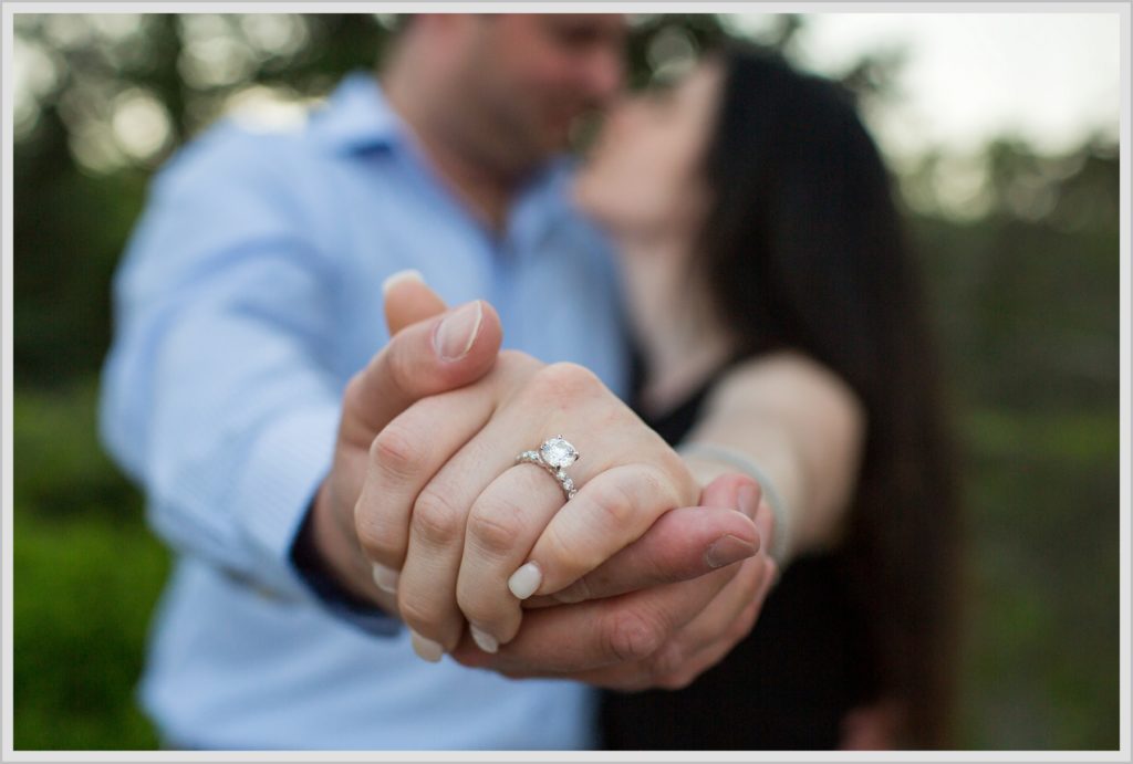 Brian and Lindsey Acadia Park Proposal