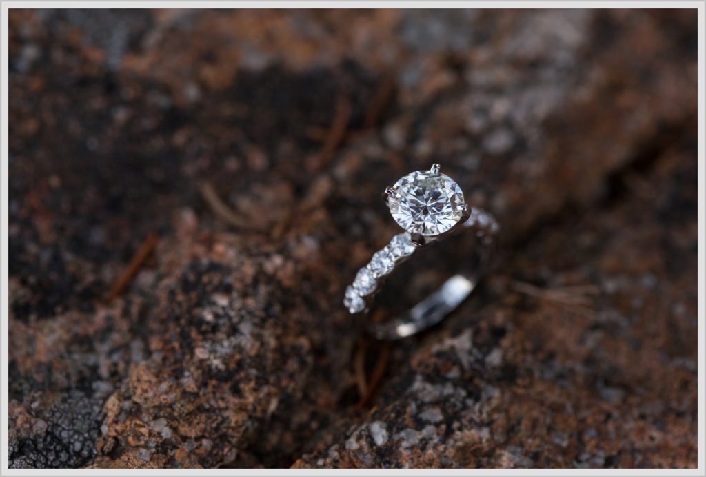 Brian and Lindsey Acadia Park Proposal