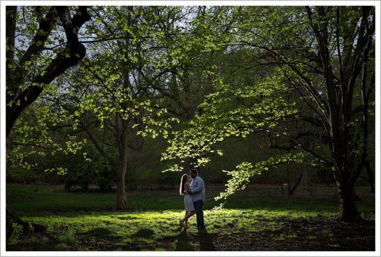 Josh and Leila's Arnold Arboretum Engagement | LAD Photography