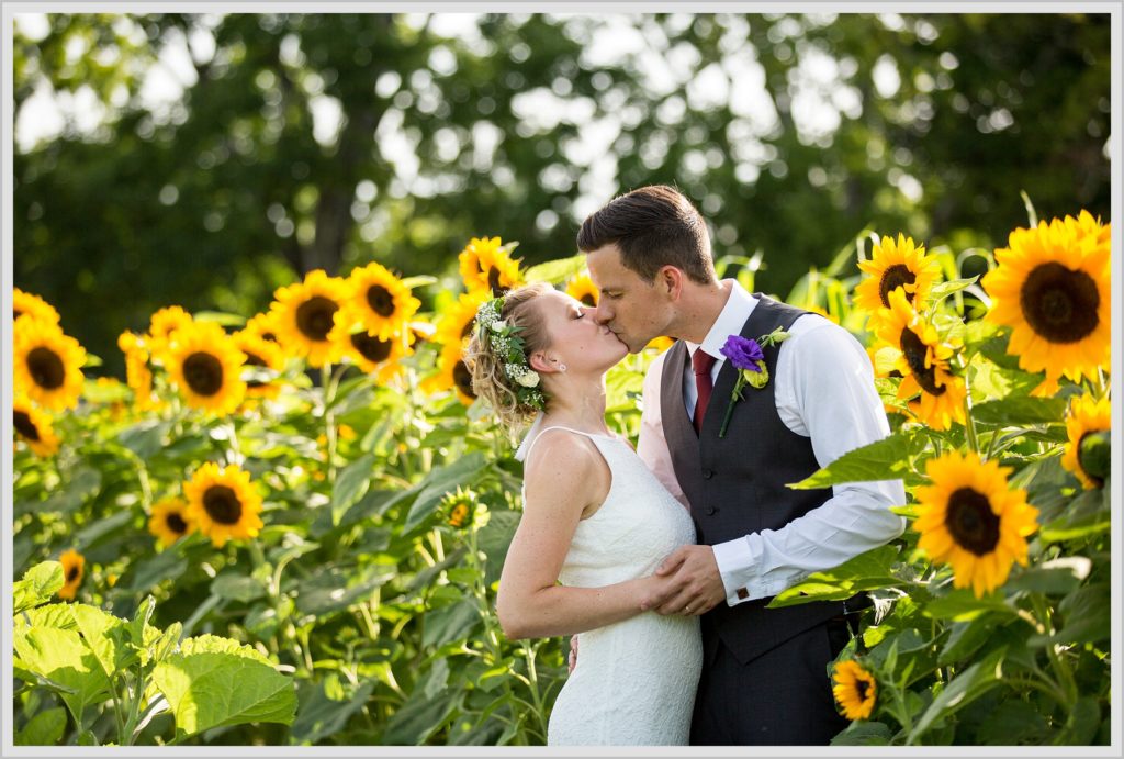 Ryan and Becca's New Hampshire Farm Wedding | Kiss in sunflower field