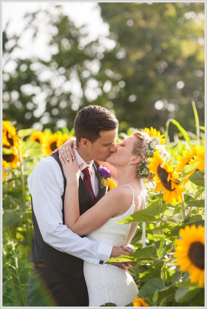 Ryan and Becca's New Hampshire Farm Wedding | Bride and Groom kiss amongst sunflowers