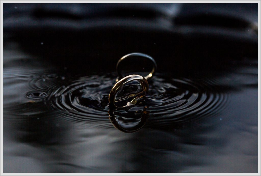 Ryan and Becca's New Hampshire Farm Wedding | Rings in water