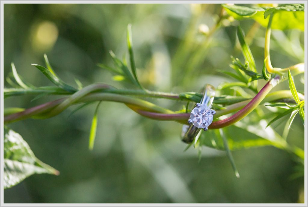 Theresa + Corey's Horn Pond Engagement