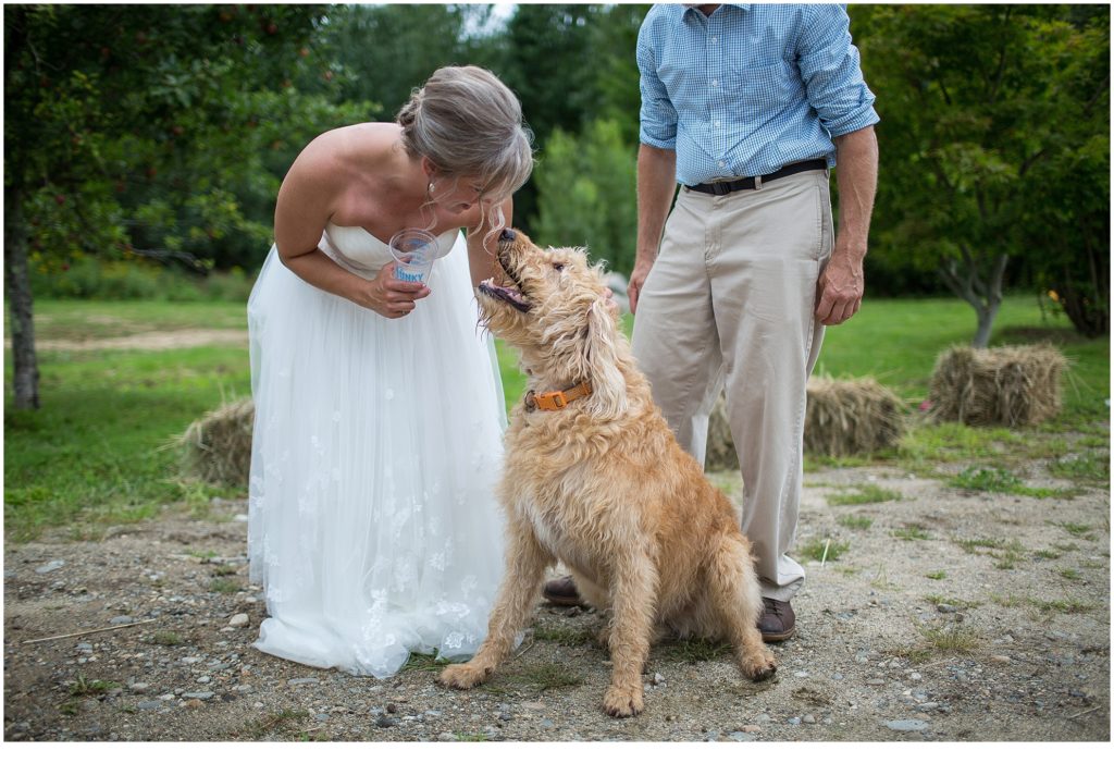 Britt and Jason Funky Bow Wedding