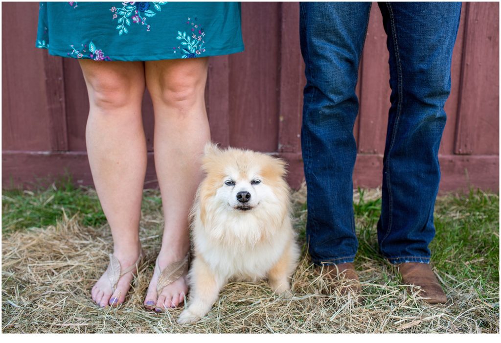 Justin and Jen's Family Portraits with their Pets