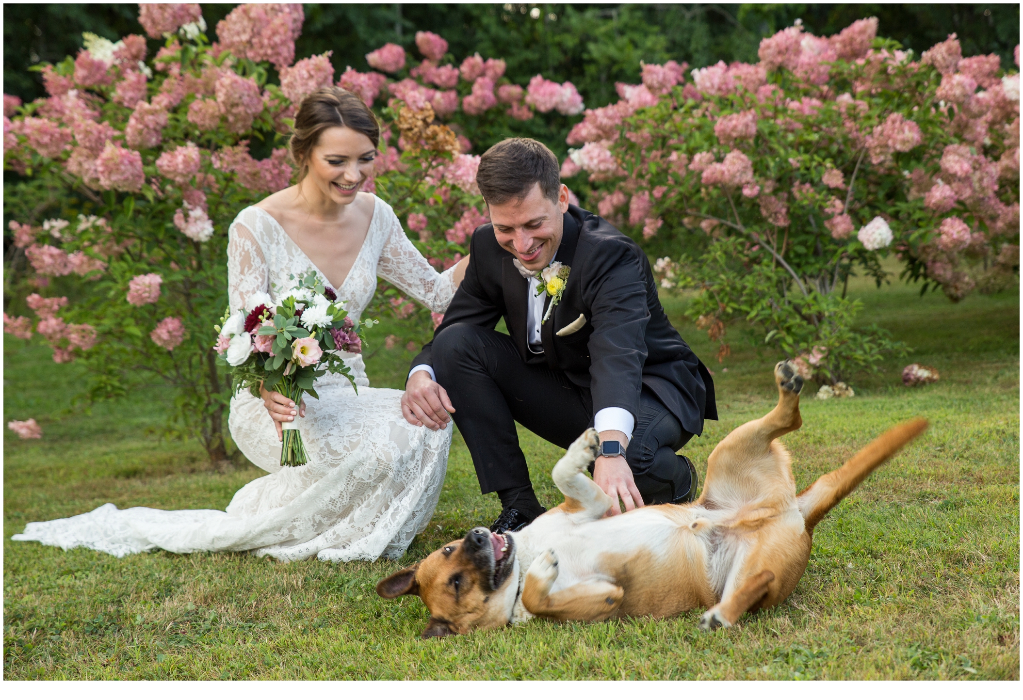 Brian and Ann's Marianmade Farm Wedding - first look with Tobey their dog