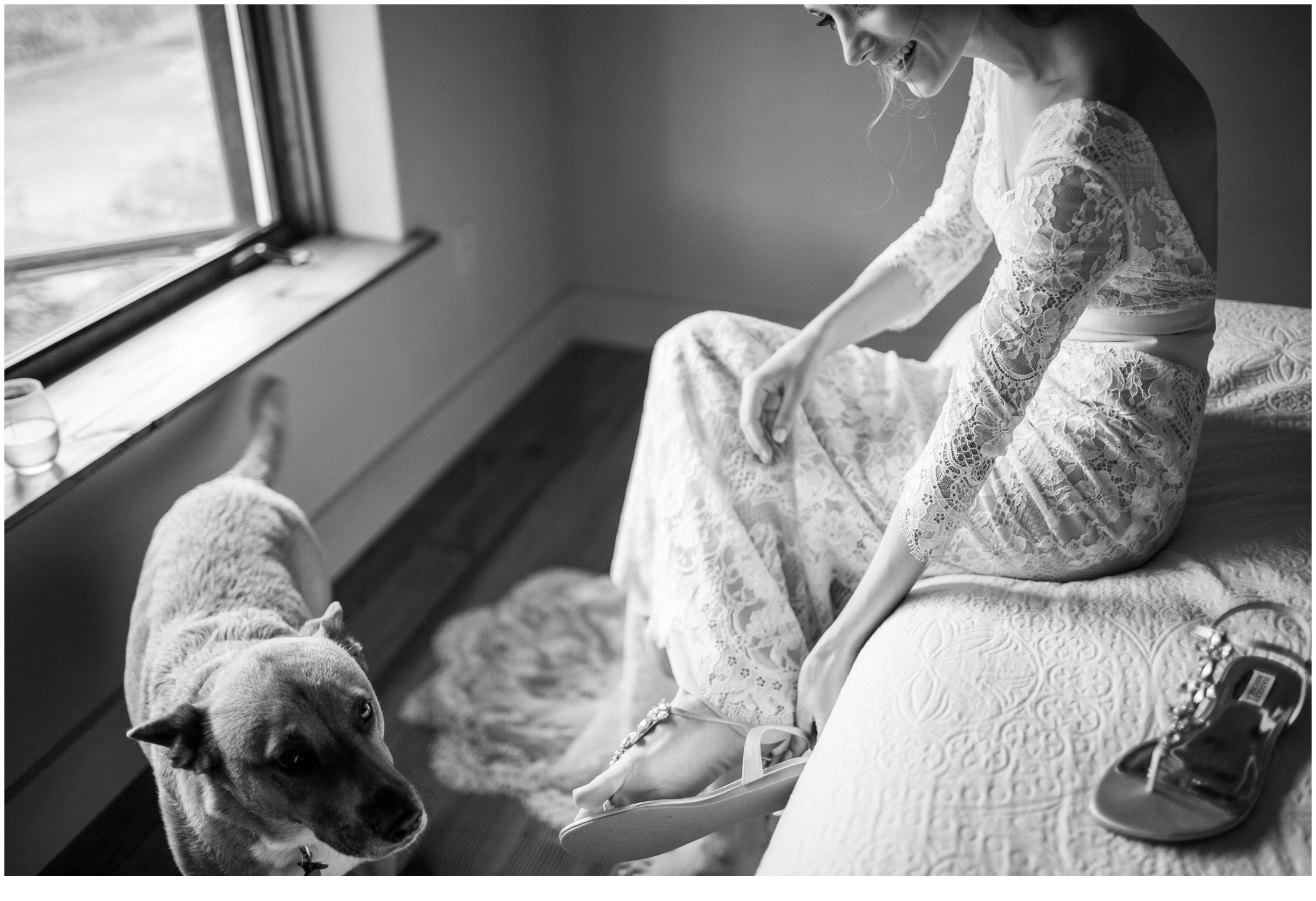 Brian and Ann's Marianmade Farm Wedding - Bride and dog