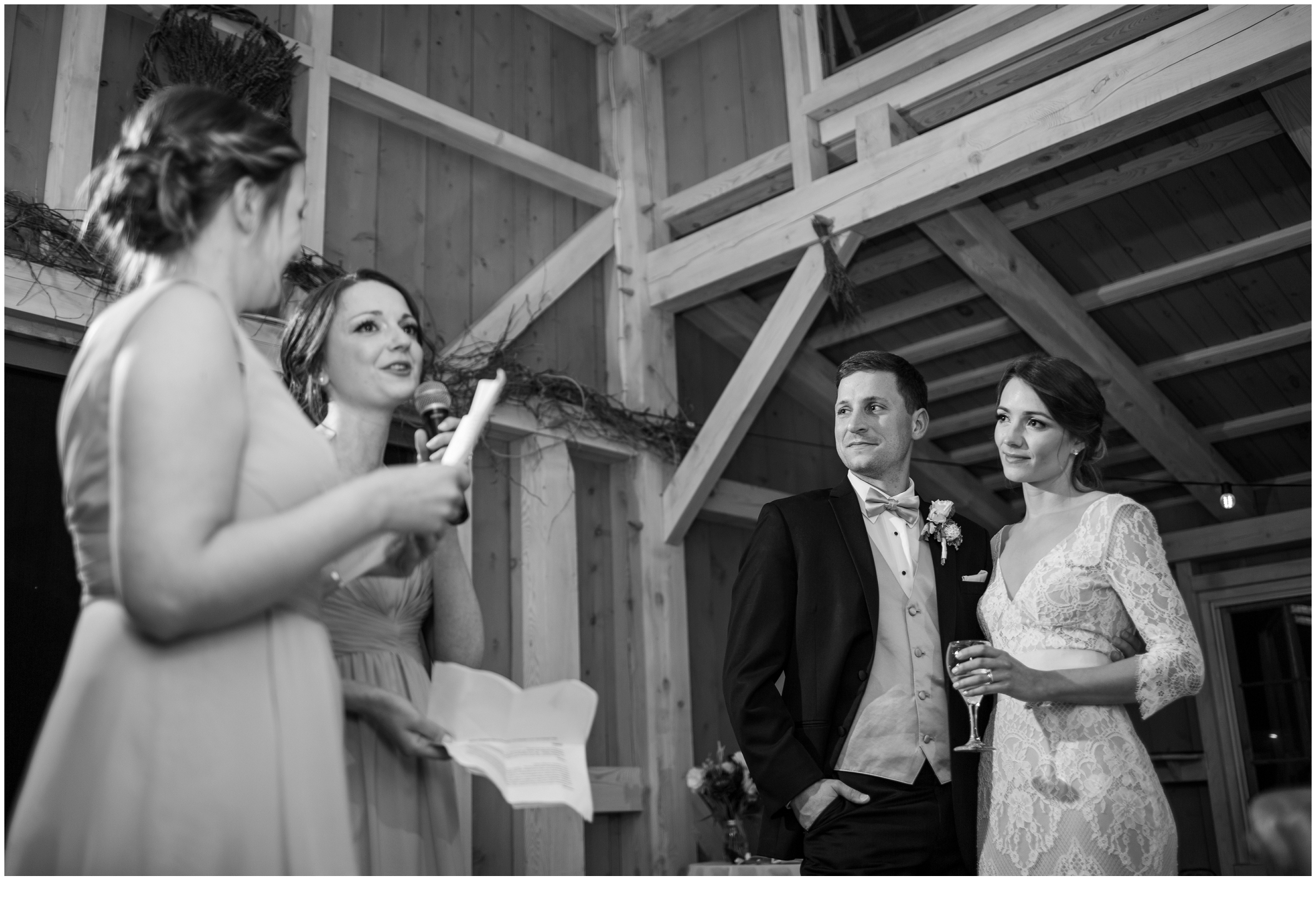 Brian and Ann's Marianmade Farm Wedding - speeches