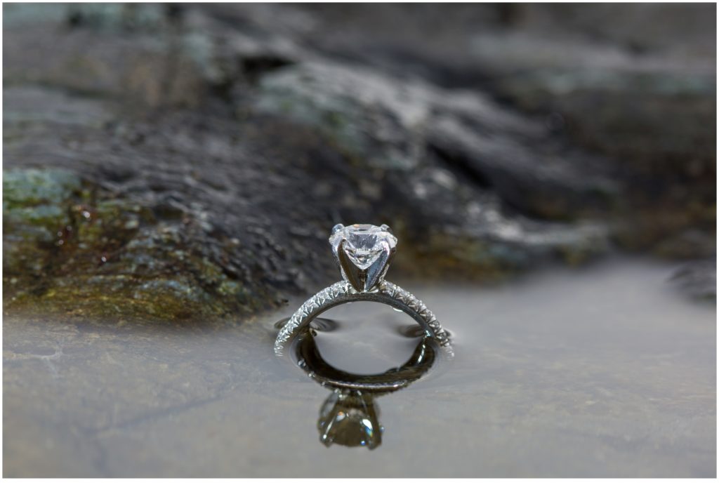 Proposal at Cliff House in Cape Neddick, Maine