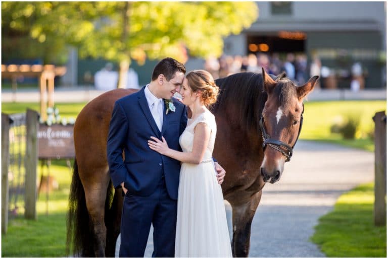 Wedding at Terrydiddle Farm