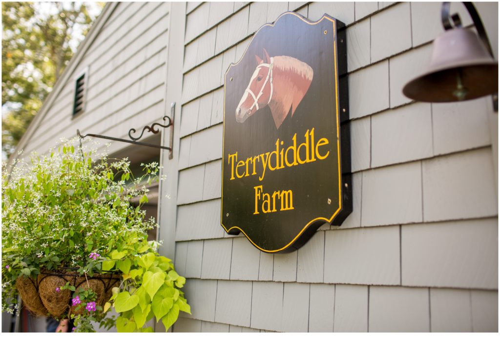 Wedding at Terrydiddle Farm