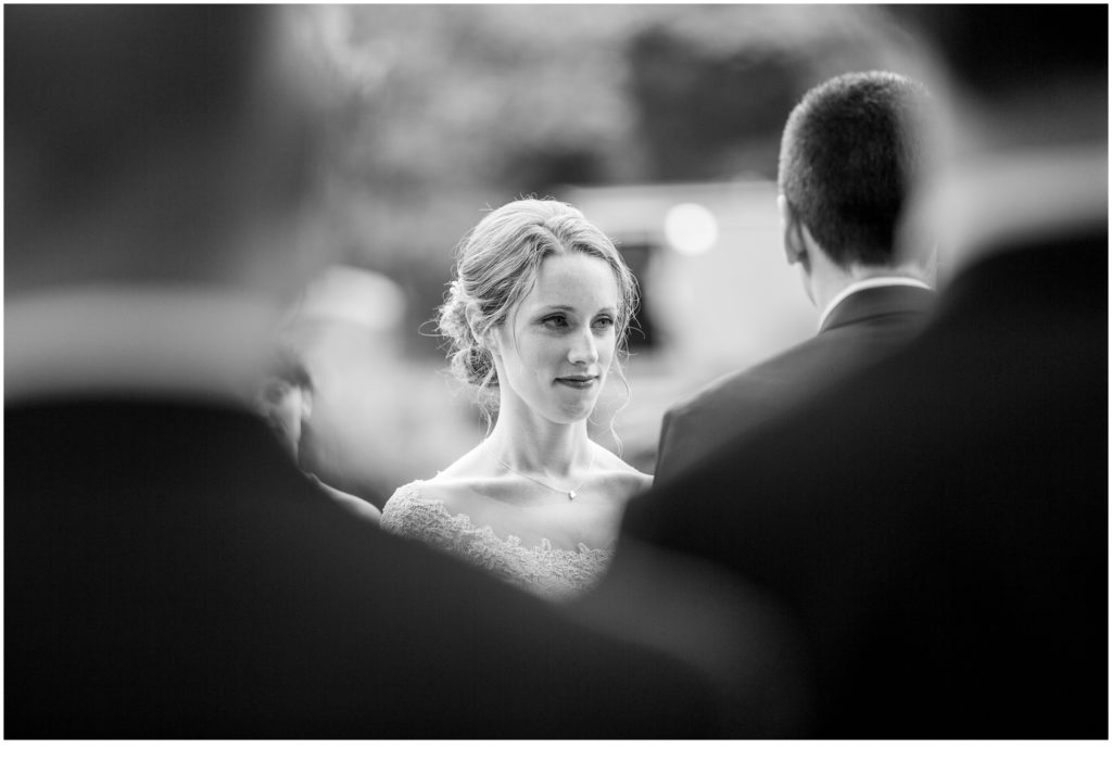 Wedding at Terrydiddle Farm