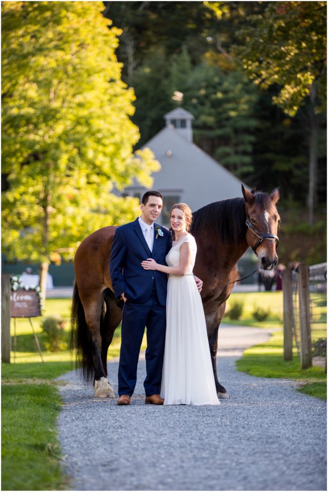 Wedding at Terrydiddle Farm - Bride and groom with horse