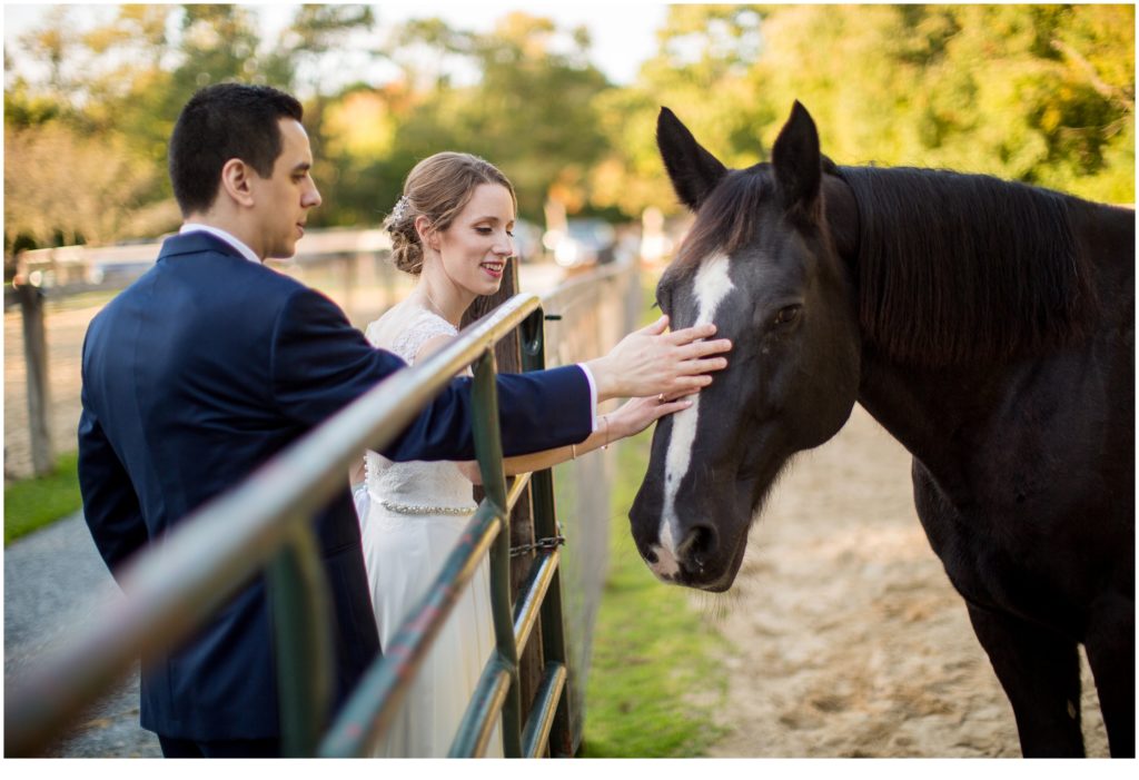 Wedding at Terrydiddle Farm